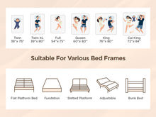 Load image into Gallery viewer, Lechepus 14 Inch Plush Hybrid Mattress Bed in a Box, 5 Layer Memory Foam with Pocket Springs for Supportive & Pressure Relief with Soft Fabric,100 Nights Trial CertiPUR-US Certified